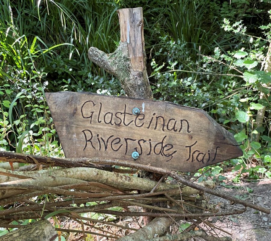 glasteinan_bioblitz