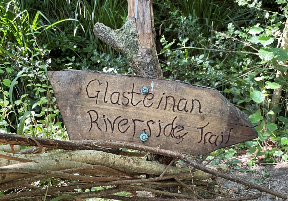 glasteinan_bioblitz