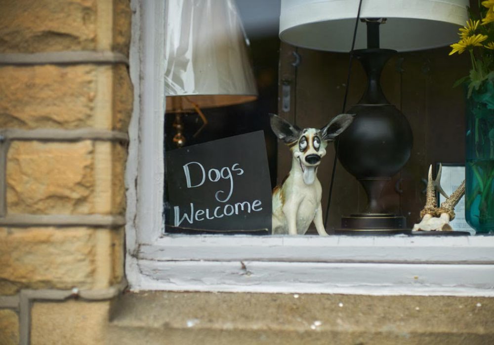 Window with 'Dogs Allowed' sign next to a pottery dog