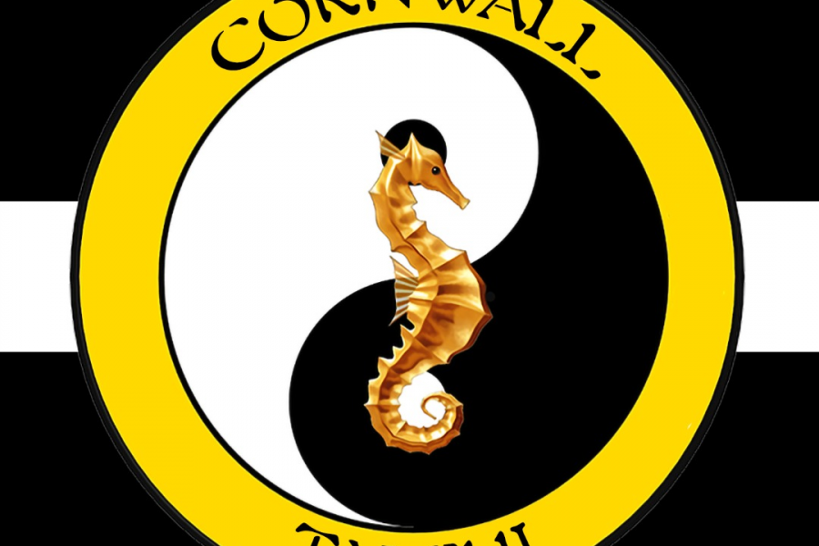 resized_CORNWALLTAICHI-square