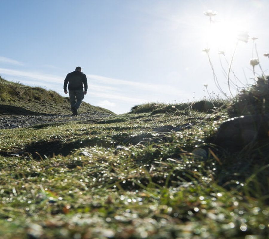 Man Walking the South West Coast Foot path on a bright Autumn day in Pentire, Newquay, Cornwall, UK.  Sun Shining into camera lens through wild cliff flowers causing sun flare.