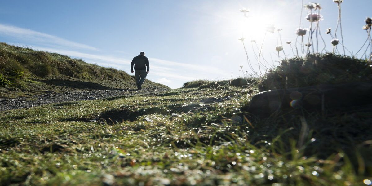 Man Walking the South West Coast Foot path on a bright Autumn day in Pentire, Newquay, Cornwall, UK.  Sun Shining into camera lens through wild cliff flowers causing sun flare.
